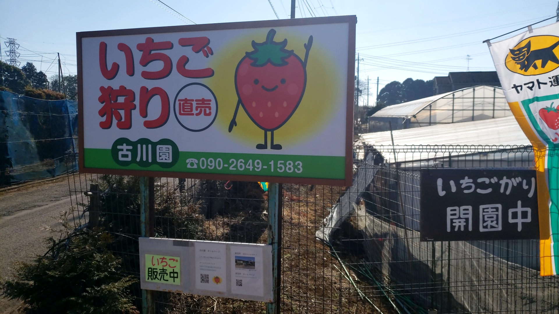 イチゴ 狩り 千葉 古川 園